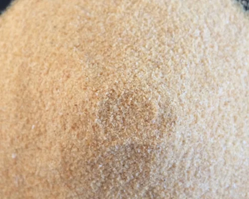 Dehydrated Garlic granules